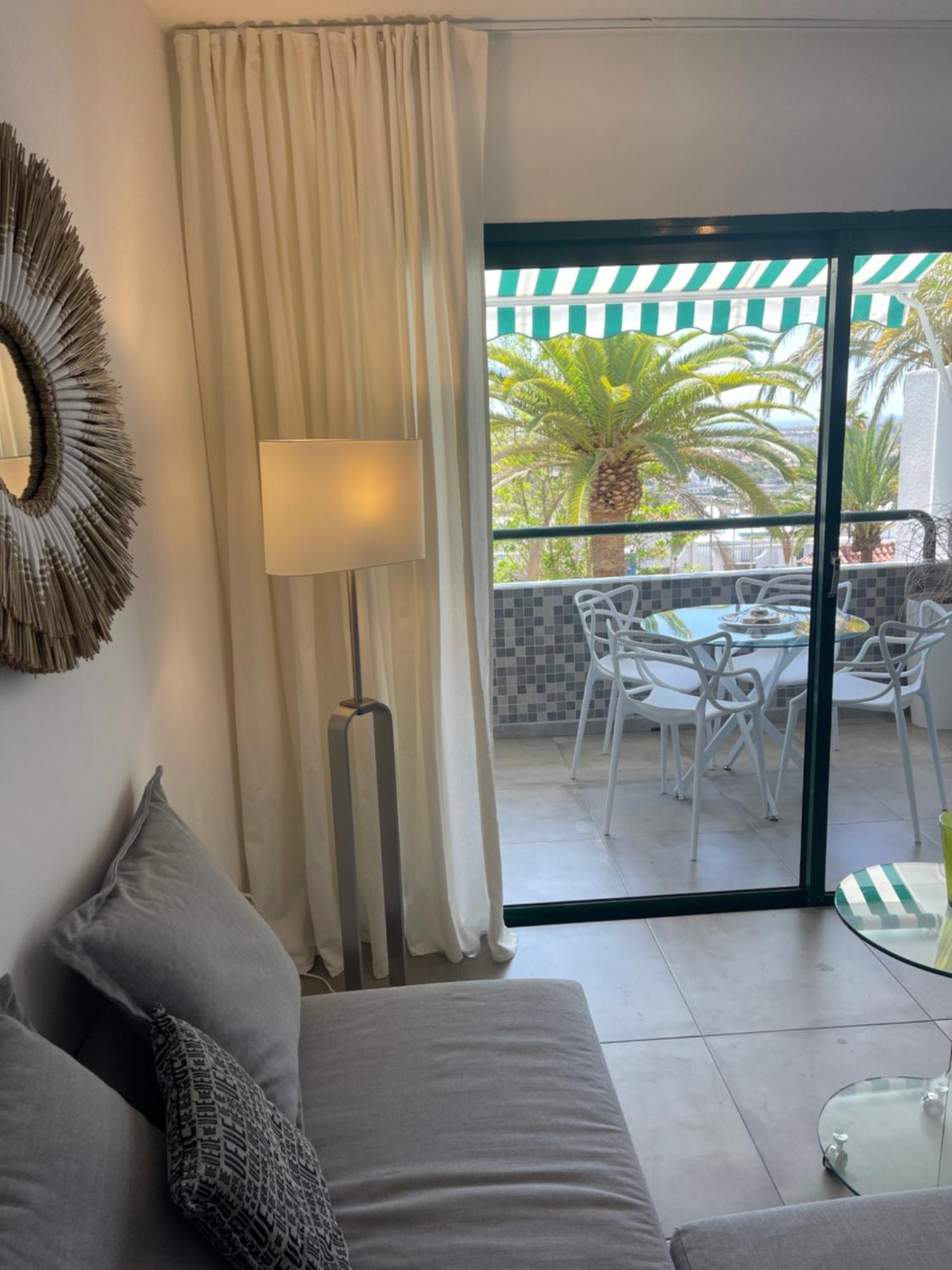 Apartment Palm Tree View