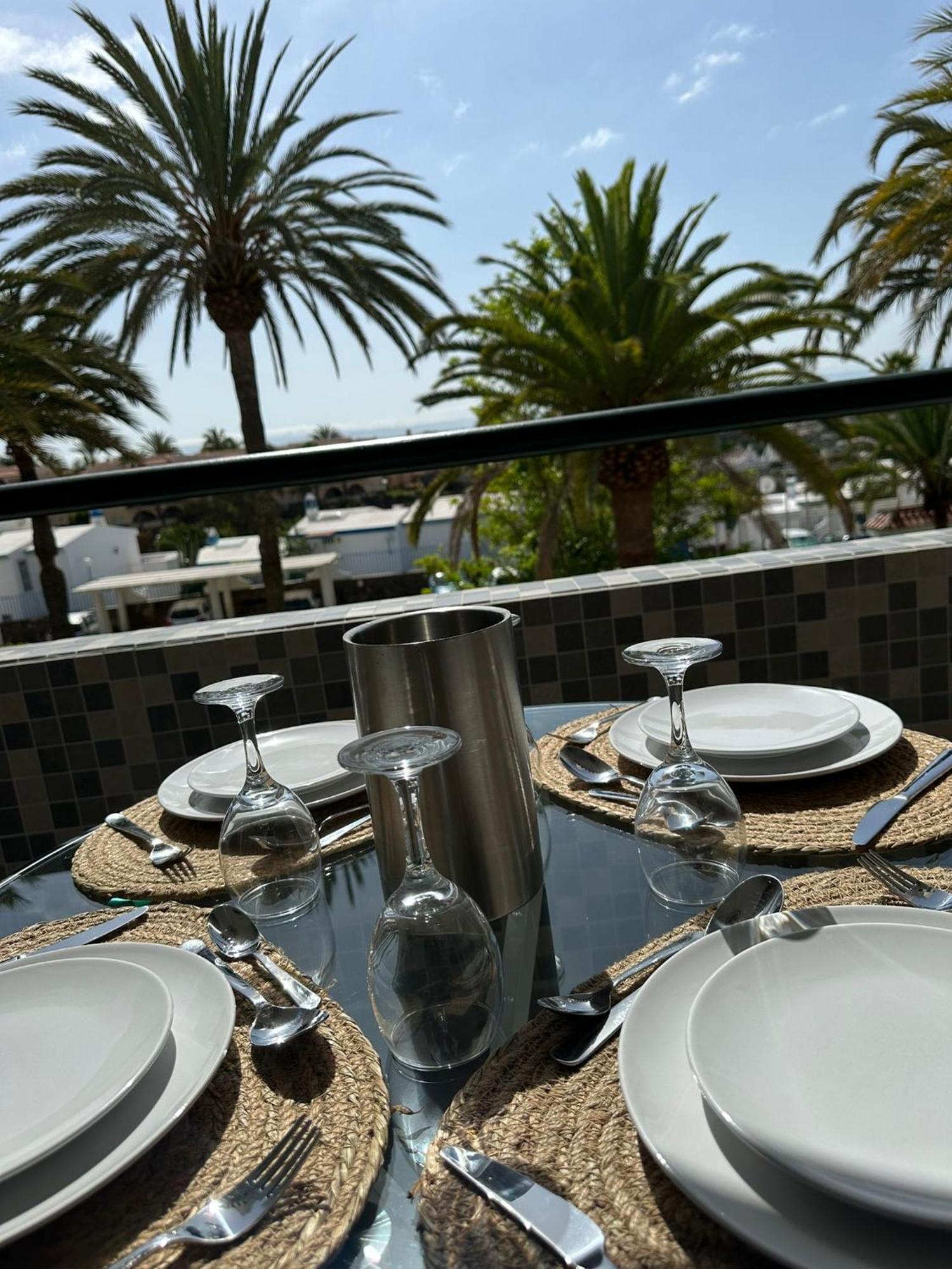 Palm Tree View