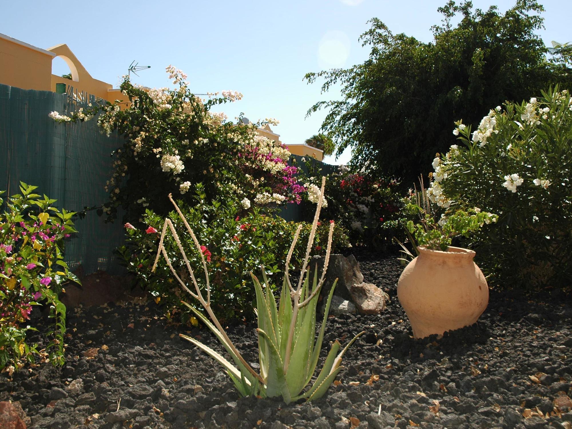 Vista Bonita - Gay And Lesbian Only (adults Only) Hotel Maspalomas (Gran Canaria)