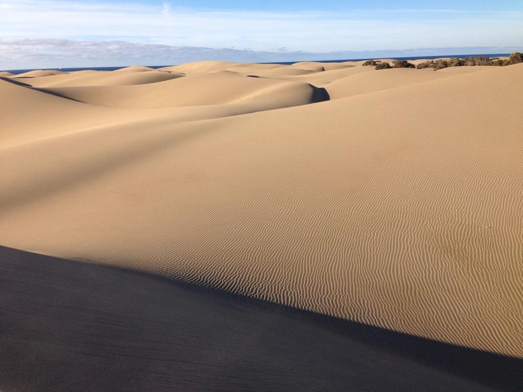 Parque Luz * Maspalomas (Gran Canaria)