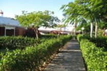 Melocotones Apartamento