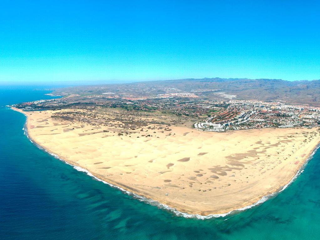 Canary Wave