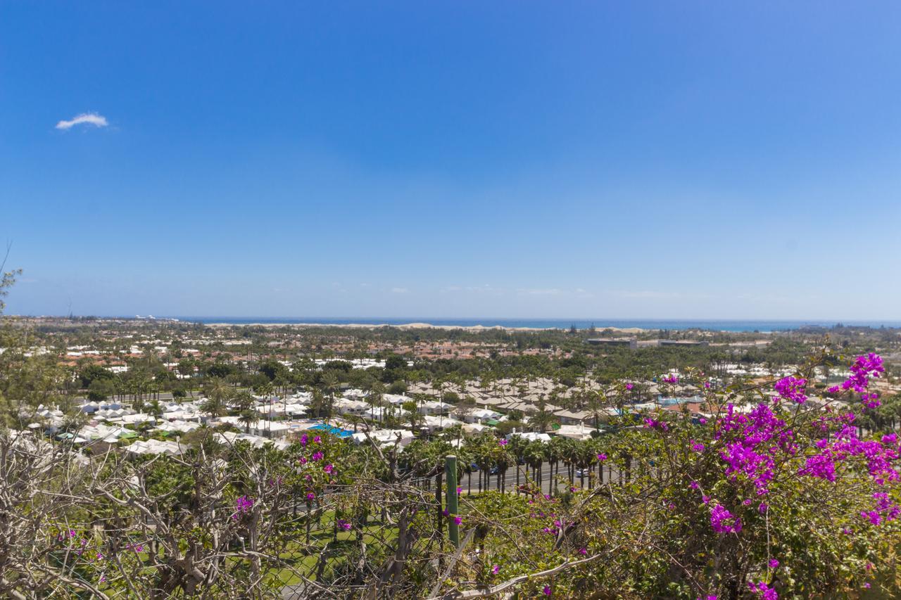 Vista Oasis 2*