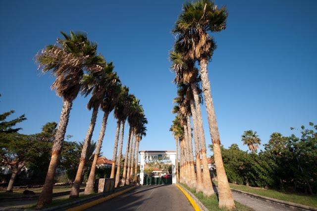 Parque Golf * Maspalomas (Gran Canaria)
