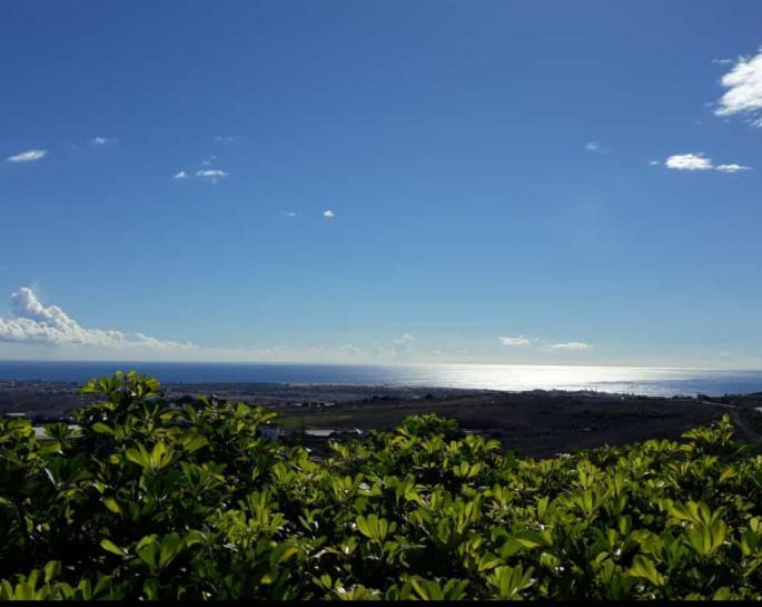 The Black Horse Canarias - Adults Only Landhaus