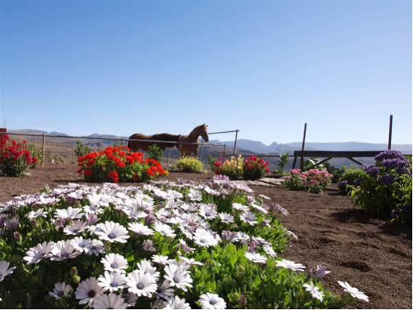 Landhaus The Black Horse Canarias - Adults Only *