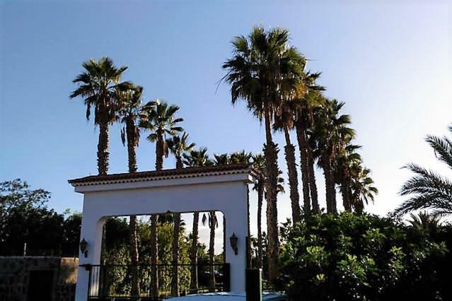Holiday home Bungalow The Eight Maspalomas (Gran Canaria)