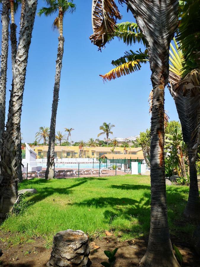 Bungalows Playa Flor Apartamento