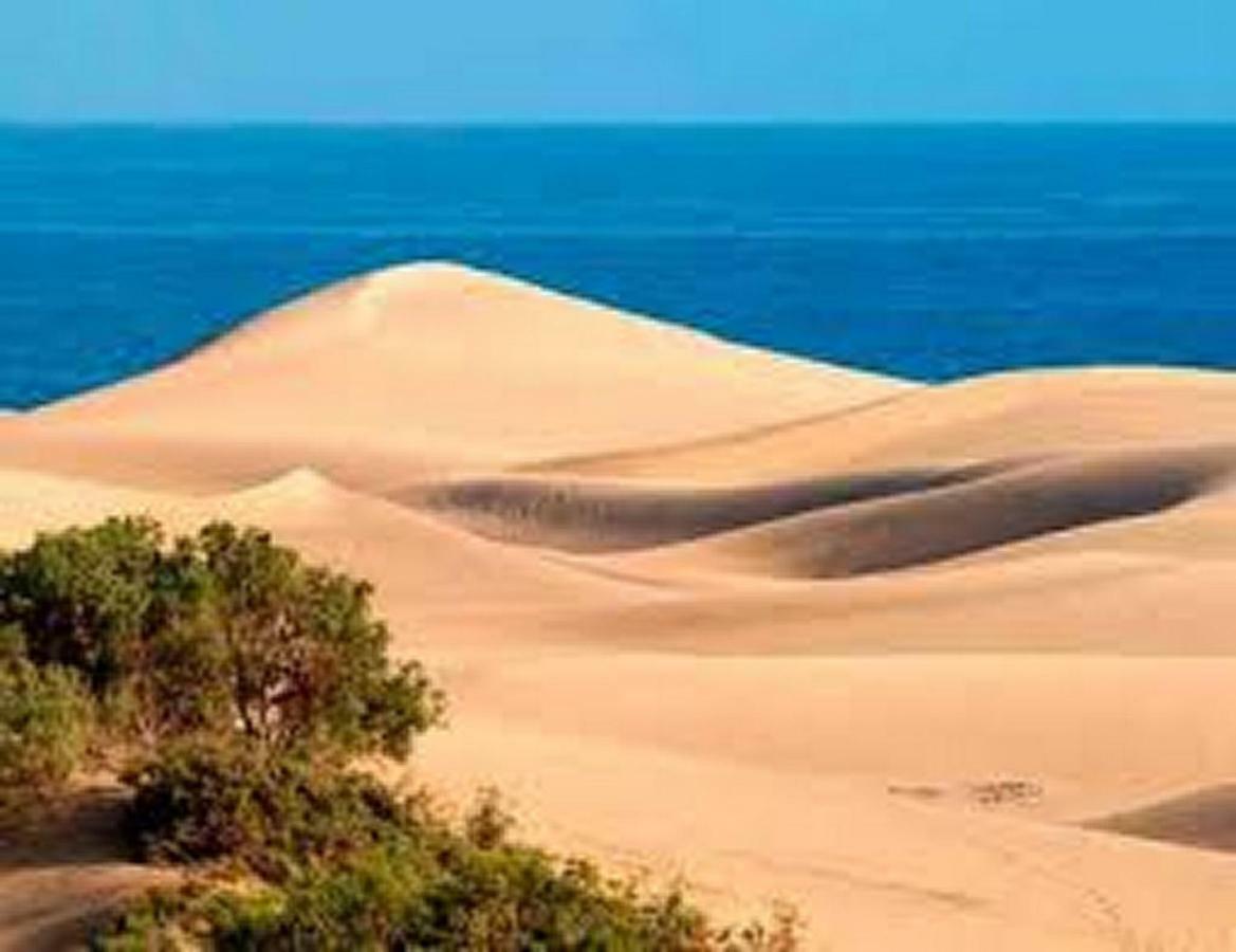 Duna Flor Maspalomas Maspalomas (Gran Canaria)