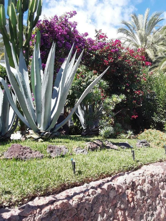 Dom Elena Surycan * Maspalomas (Gran Canaria)