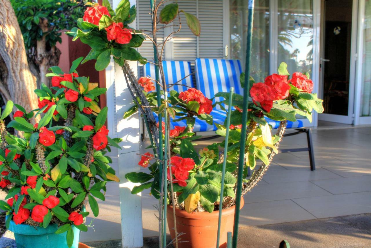 Melocotones Maspalomas (Gran Canaria)