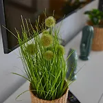 Cactus Sombrerudo- Bright Apartment Next To Yumbo