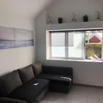 Los Tunos Campo Internacional