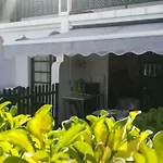 Dunaflor Verde