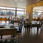 Vista dorada G