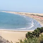 Vista dorada G