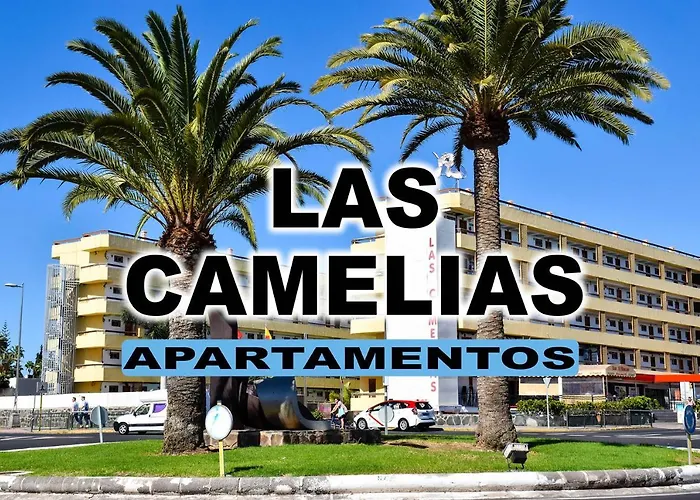 Las Camelias Apartments V14