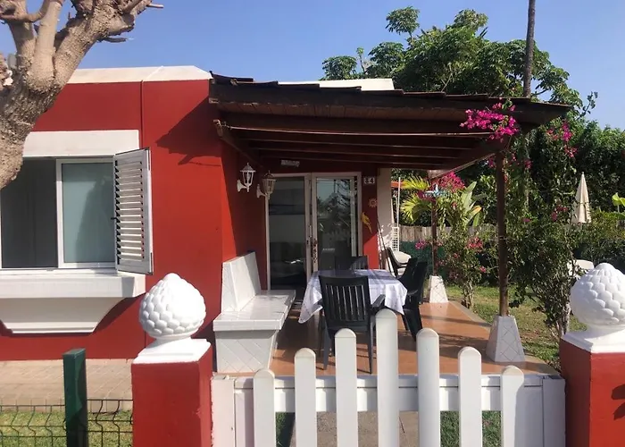 Los Tunos Campo Internacional