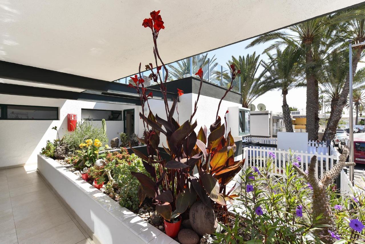 Appartement Charca 1 Maspalomas (Gran Canaria)