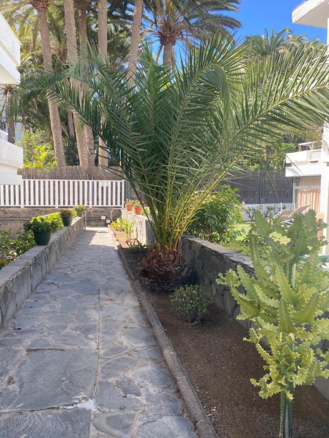 Oasis Playa Maspalomas Apartamento