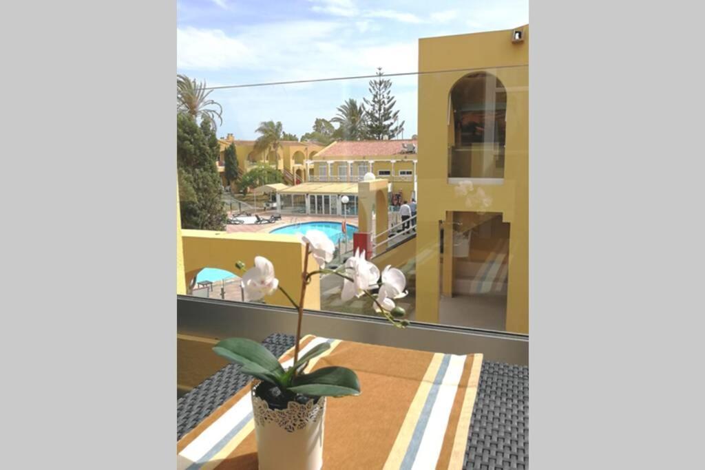 Tisalaya Park Stay, Cosy In Maspalomas * Maspalomas (Gran Canaria)