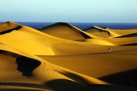 Fantastico 511 * Maspalomas (Gran Canaria)
