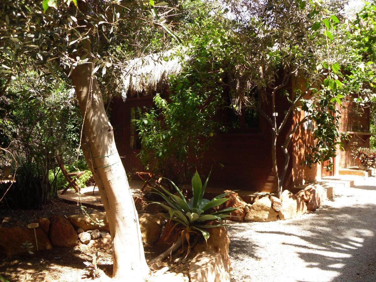 Finca Montecristo Apartamento *