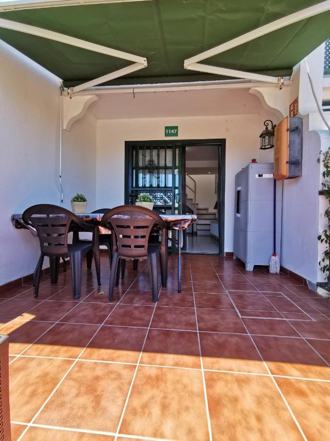 Dunaflor Verde *