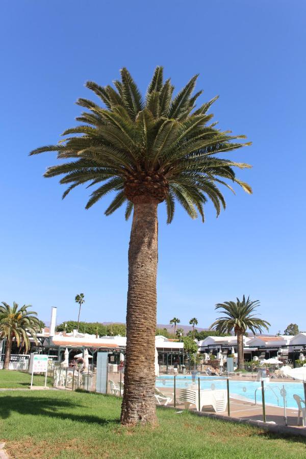 Apartment Marlenghi 70 Maspalomas (Gran Canaria)