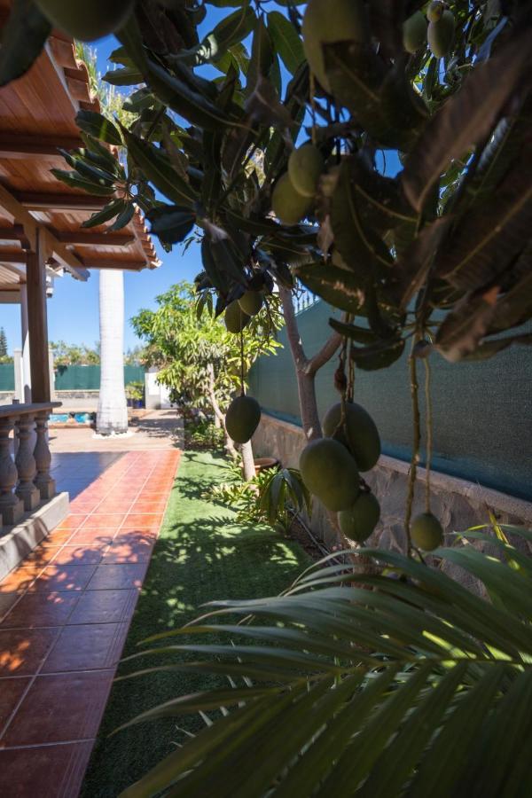 Cosmopolitan En Maspalomas Cerca De Dunas