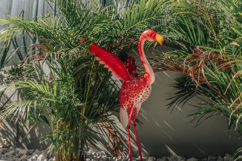 Palm Tree By Villa Soleros Gay Friendly Adult Only Apartment Maspalomas (Gran Canaria)
