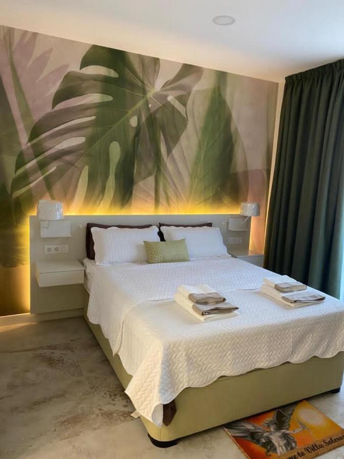 Palm Tree By Villa Soleros Gay Friendly Adult Only Apartment *