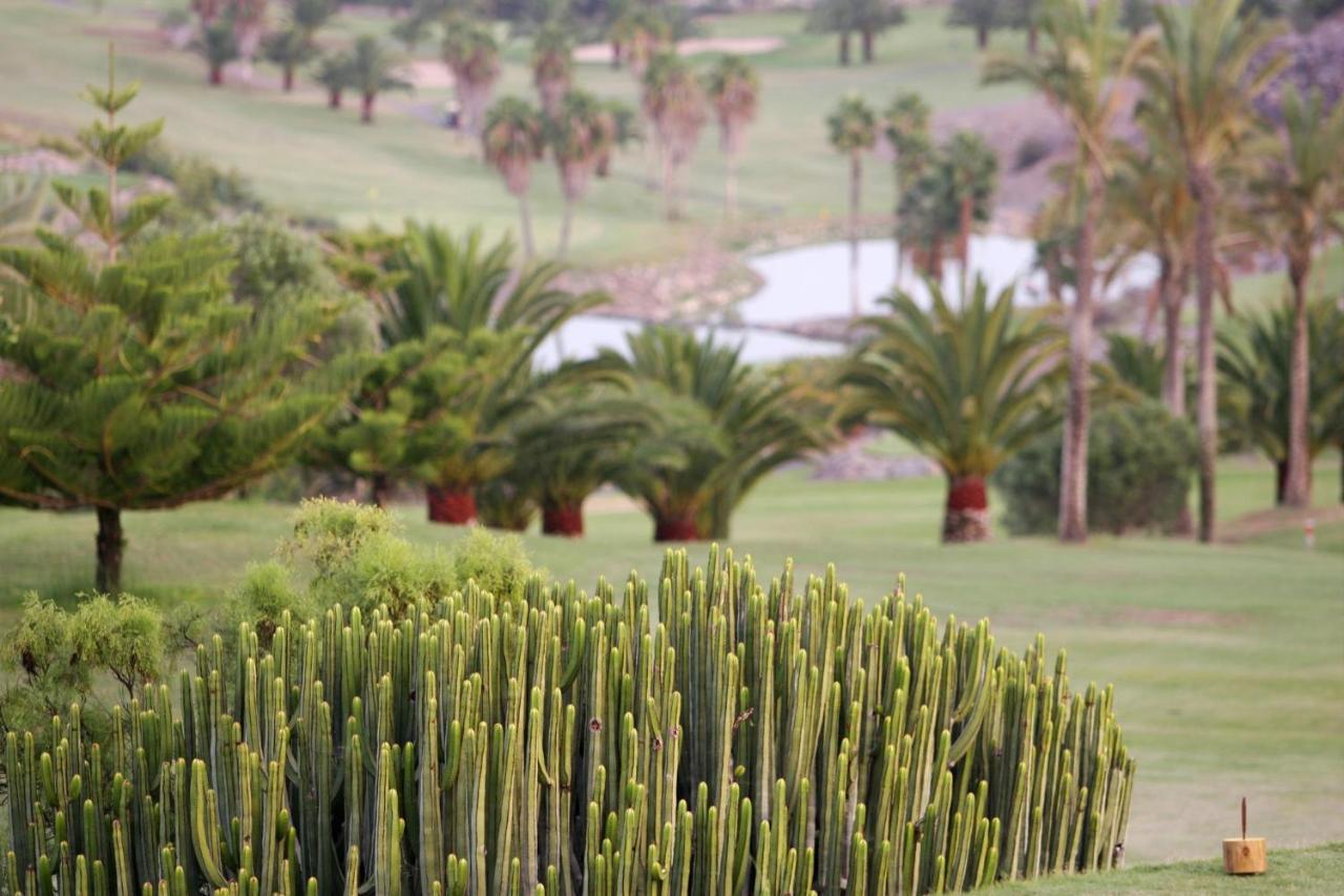 Villa Tropical By Villagrancanaria