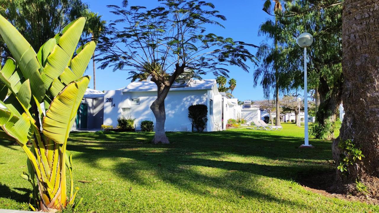 Canary Garden Club Resort Maspalomas (Gran Canaria)