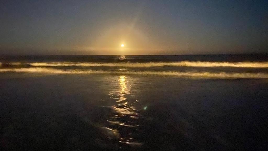 Pharus: Retro * Maspalomas (Gran Canaria)