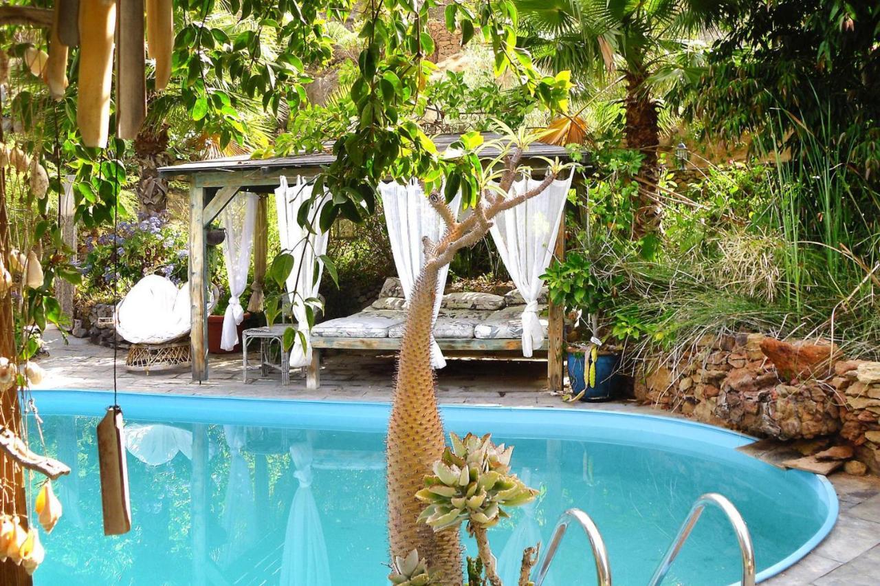Holiday Jardin Botanico Baranco De Ayagaures - Lpa03012-ayb *