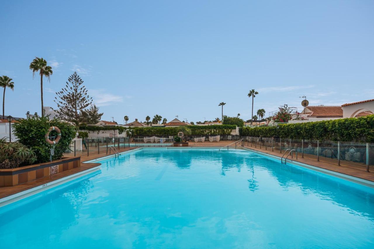 Palmera * Maspalomas (Gran Canaria)