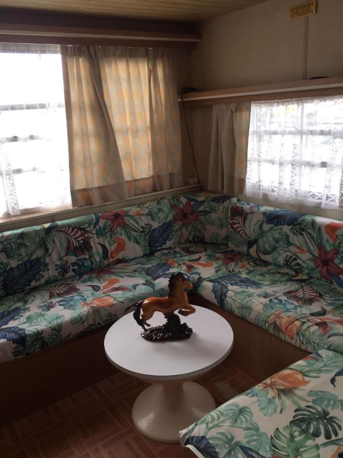 Camping House Campsite Maspalomas (Gran Canaria)