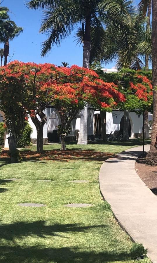 Bungalow Elegance Maspalomas (Gran Canaria)