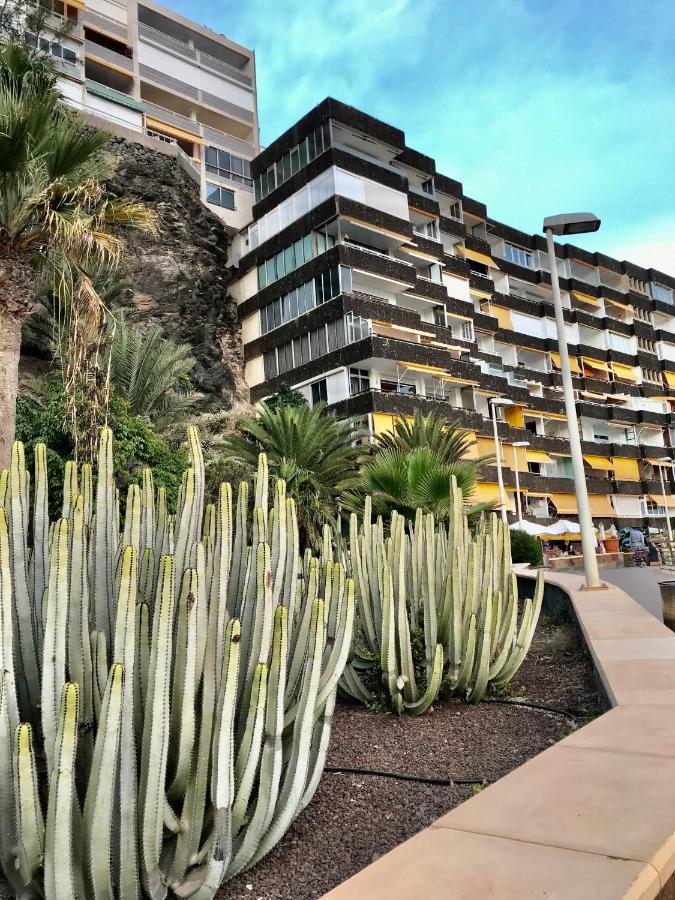 Apartamento Exclusives 10 Meters To Ocean *