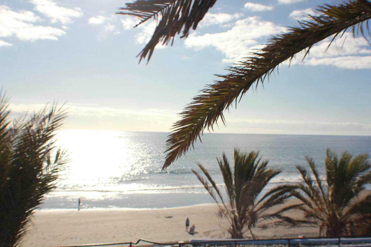 Frente Al Mar - Sun Club Playa Del Aguila Apartment *