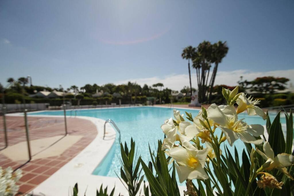 Cozy & Modern W/private Garden Bbq+wifi Apartment Maspalomas (Gran Canaria)