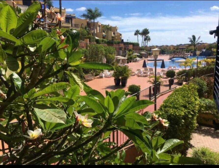 Apartment Bungalow En Meloneras Maspalomas (Gran Canaria)