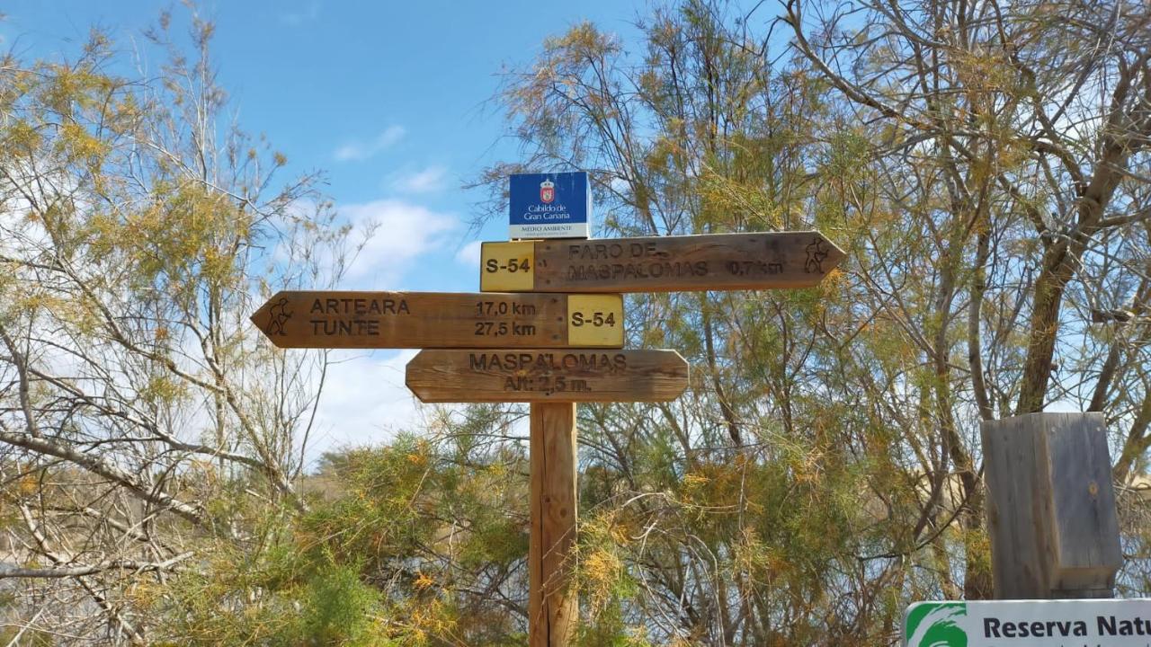 Doranda Maspalomas