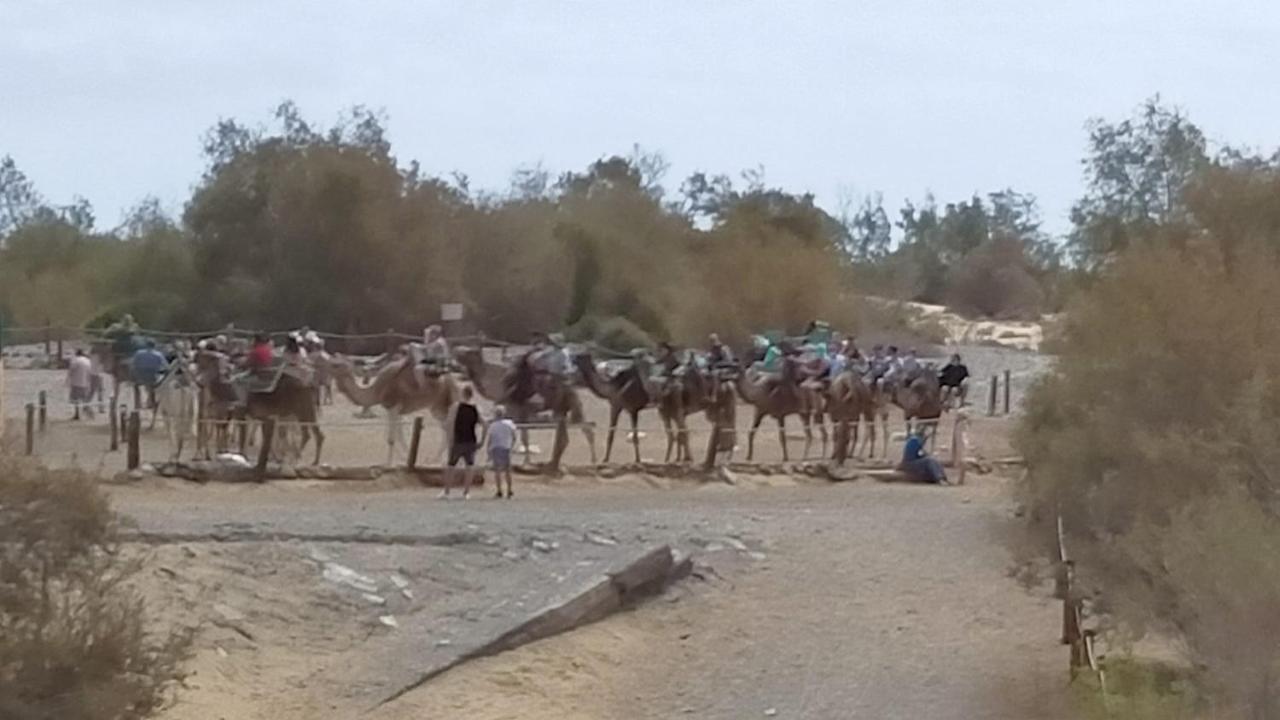 Сasa de vacaciones Doranda Maspalomas *