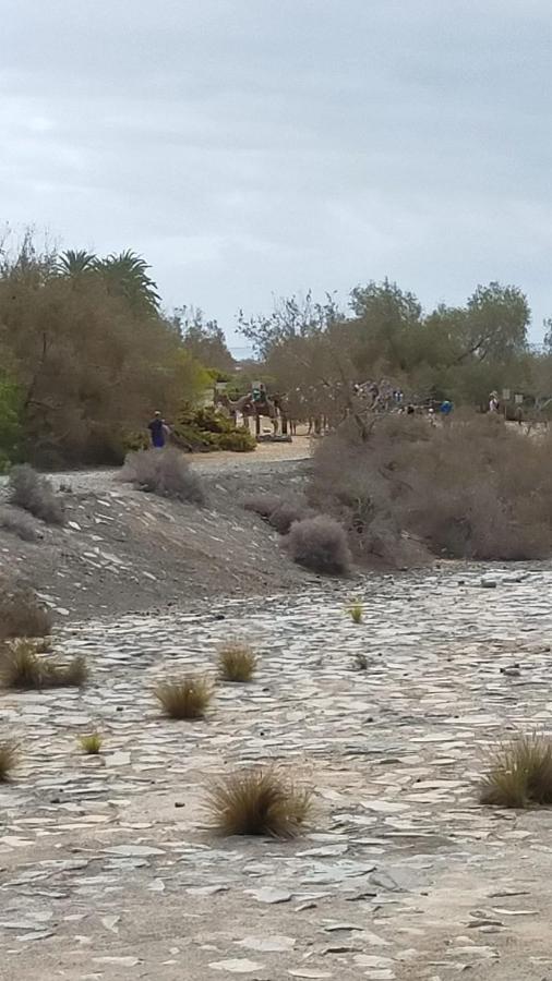 Doranda Maspalomas Maspalomas (Gran Canaria)