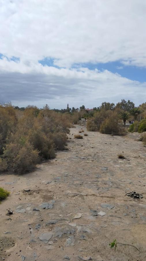 Doranda Maspalomas *