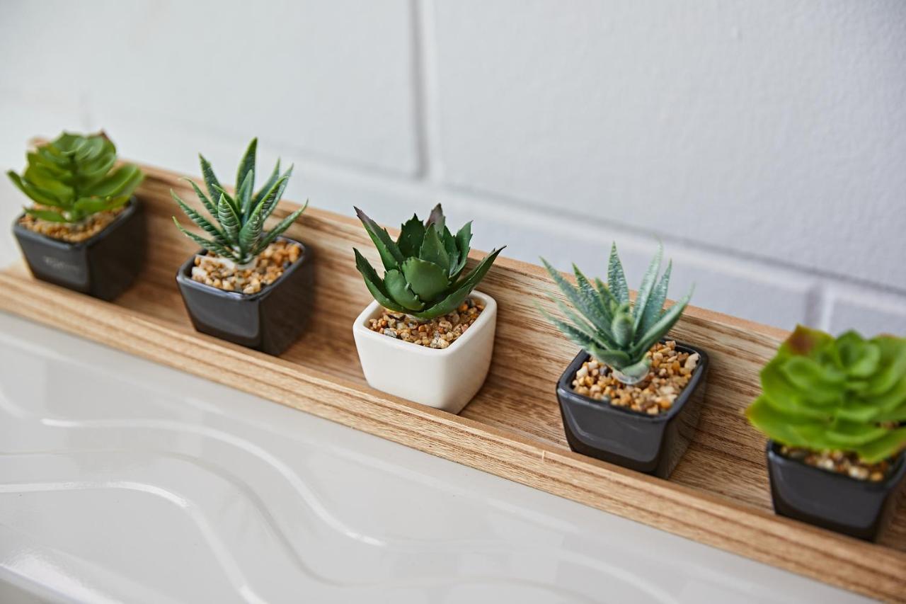 Apartment Cactus Sombrerudo- Bright Next To Yumbo *