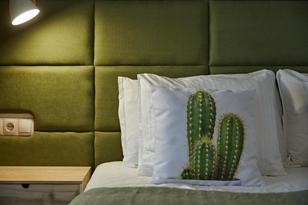 Apartment Cactus Sombrerudo- Bright Next To Yumbo