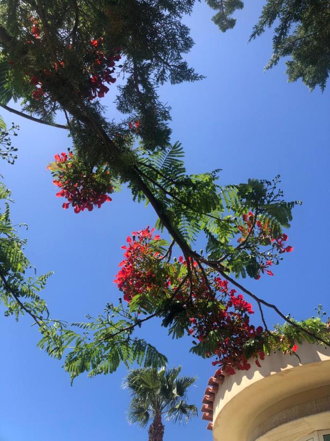 World Maspalomas (Gran Canaria)